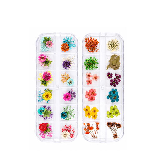 Decoración Flor Seca Para Uñas Afines